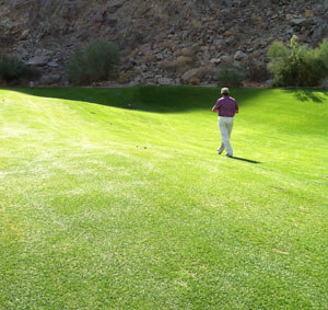 man playing golf